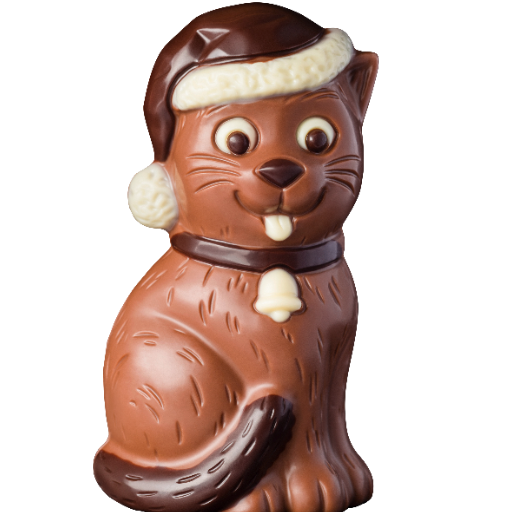 Schoko - Winterkatze